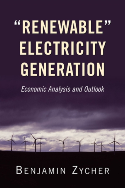 Renewable Electricity Generation : Economic Analysis and Outlook, Paperback / softback Book