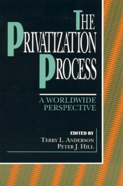 The Privatization Process : A Worldwide Perspective, Paperback / softback Book