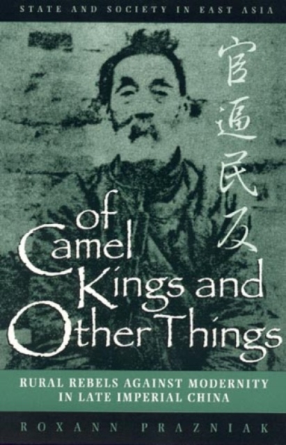 Of Camel Kings and Other Things : Rural Rebels Against Modernity in Late Imperial China, Hardback Book