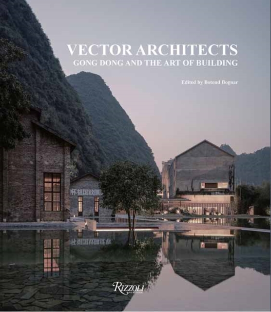 Vector Architects : Gong Dong and the Art of Building, Hardback Book