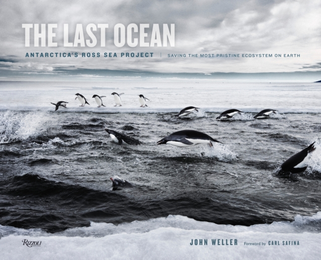 The Last Ocean: Antarctica's Ross Sea Project : Saving the Most Pristine Ecosystem on Earth, Hardback Book