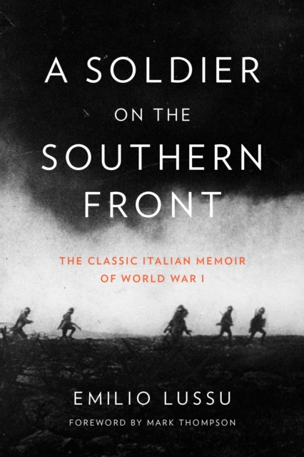 Soldier on the Southern Front, EPUB eBook