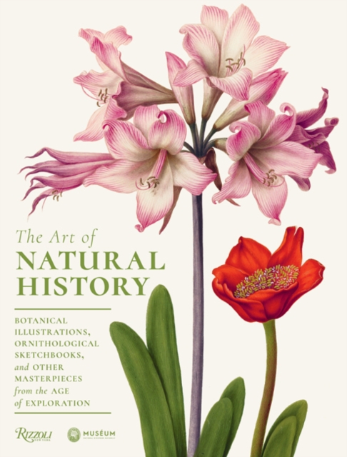 The Art of Natural History : Botanical Illustrations, Ornithological Sketchbooks, and Other Masterpieces from the Age of Exploration, Hardback Book