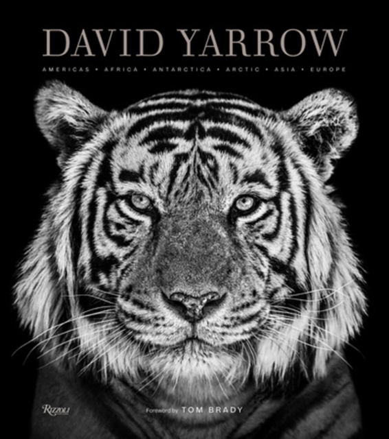 David Yarrow Photography : Americas Africa Antarctica Arctic Asia Europe, Hardback Book