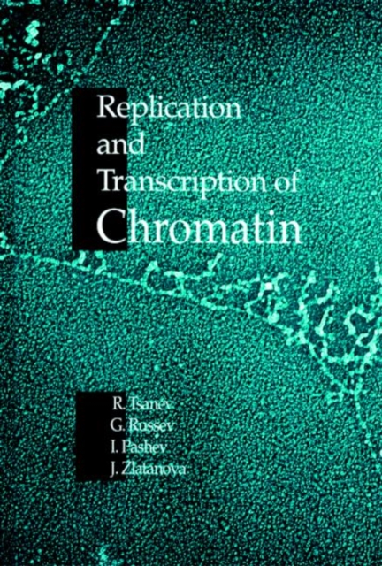 Replication and Transcription of Chromatin, Hardback Book