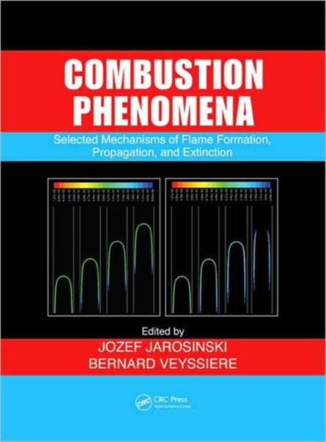 Combustion Phenomena : Selected Mechanisms of Flame Formation, Propagation and Extinction, Hardback Book