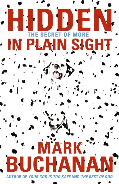 Hidden in Plain Sight : The Secret of More, Paperback / softback Book