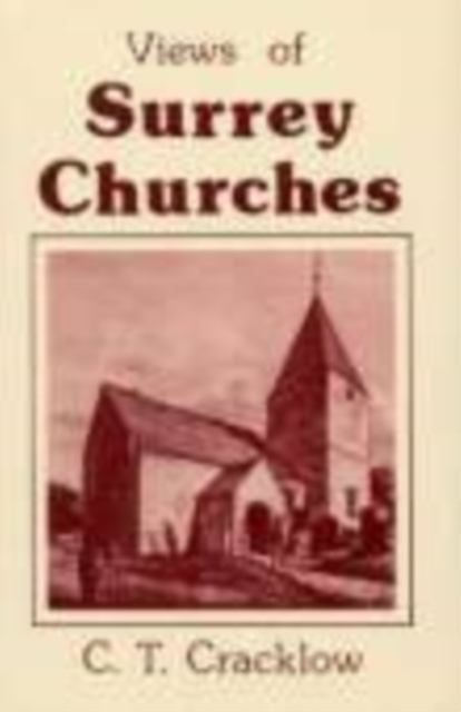 View of Surrey Churches, Paperback / softback Book
