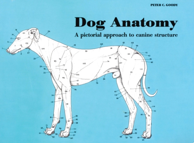 Dog Anatomy : A Pictorial Approach to Canine Structure, Paperback / softback Book