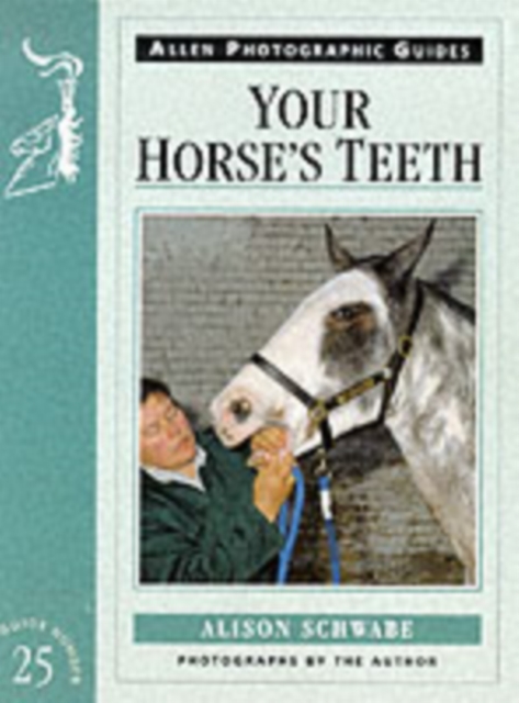 Your Horse's Teeth, Paperback / softback Book