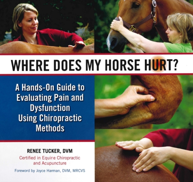 Where Does My Horse Hurt? : A Hands-On Guide to Evaluating Pain and Dysfunction Using Chiropratic Methods, Hardback Book