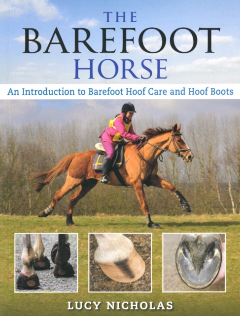 Barefoot Horse : An Introduction to Barefoot Hoof Care and Hoof Boots, Paperback / softback Book