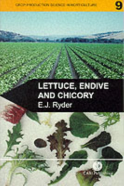 Lettuce, Endive and Chicory, Paperback / softback Book