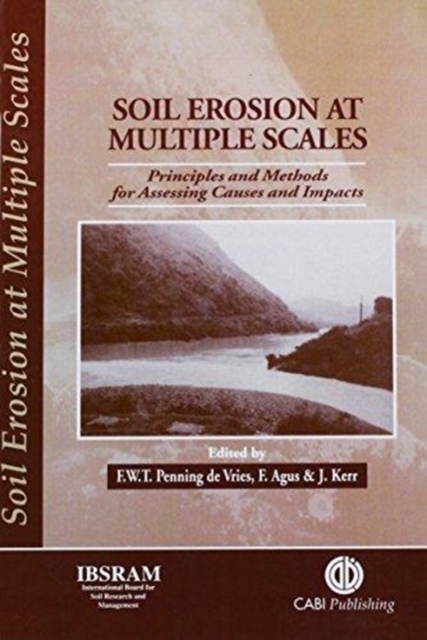 Soil Erosion at Multiple Scales : Principles and Methods for Assessing Causes and Impacts, Hardback Book