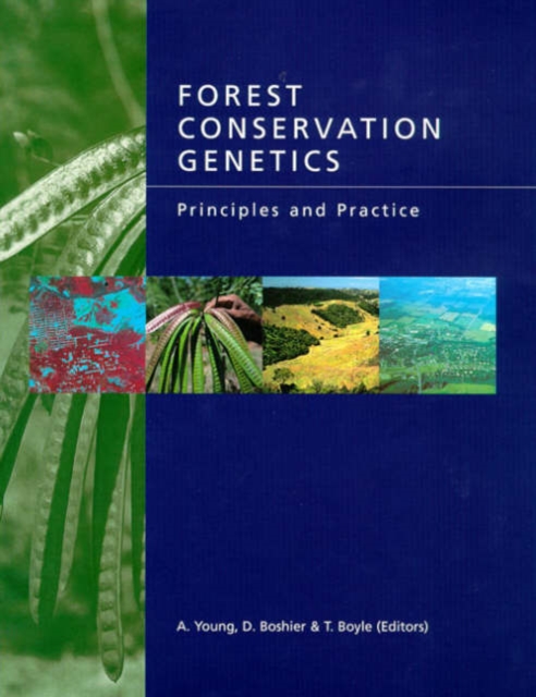 Forest Conservation Genetics : Principles and Practice, Hardback Book