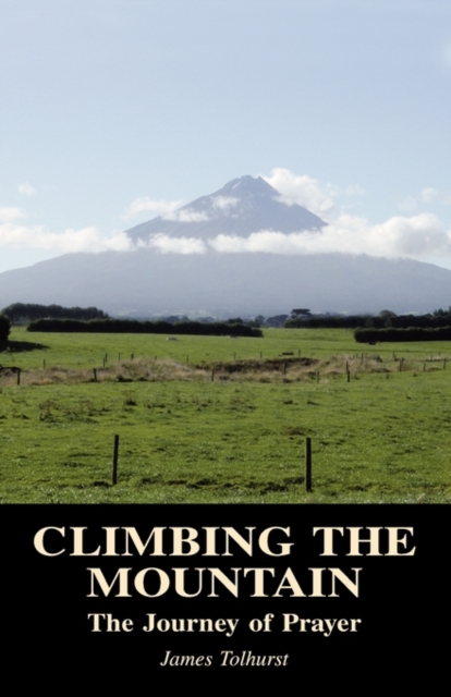 Climbing the Mountain, Paperback / softback Book