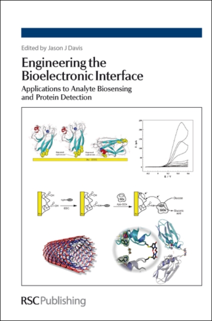 Engineering the Bioelectronic Interface : Applications to Analyte Biosensing and Protein Detection, Hardback Book