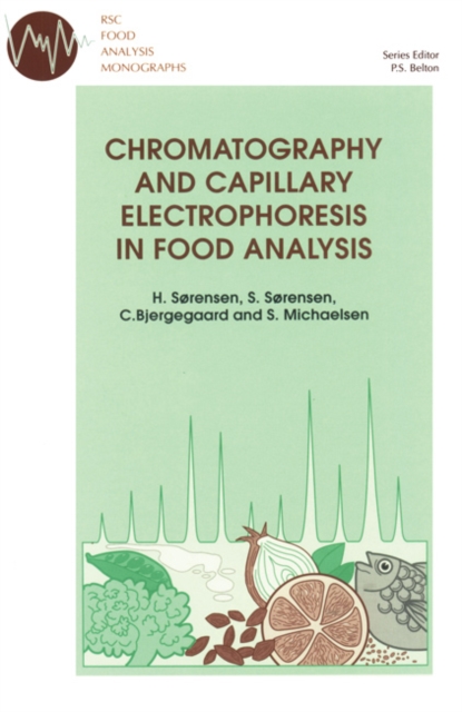 Chromatography and Capillary Electrophoresis in Food Analysis, Hardback Book