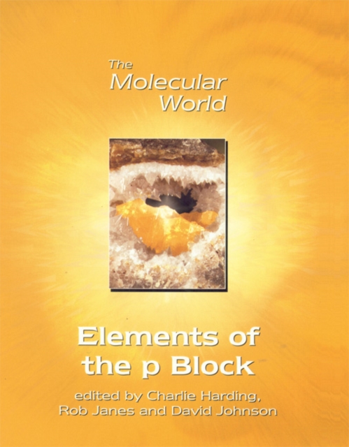 Elements of the p-Block, Paperback / softback Book