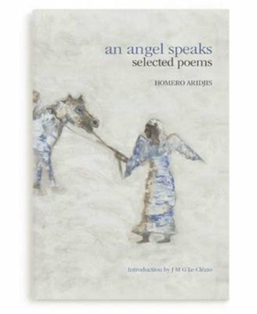 An Angel Speaks : Selected Poems, Hardback Book