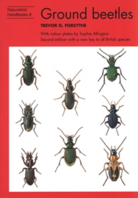 Ground beetles, Paperback / softback Book