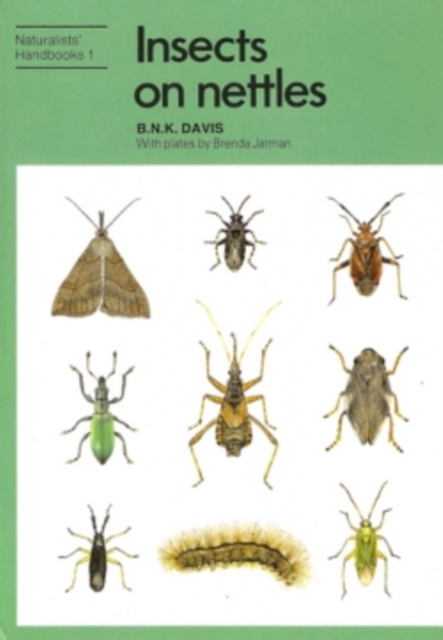 Insects on nettles, Paperback / softback Book