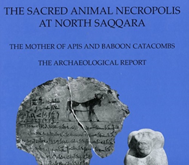 The Sacred Animal Necropolis at North Saqqara : The Mother of Apis and Baboon Catacombs: The Archaeological Report, Hardback Book
