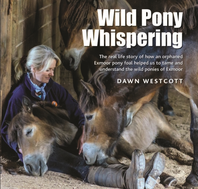 Wild Pony Whispering : The Real Life Story of How an Orphaned Exmoor Pony Foal Helped Us to to Tame and Understand the Wild Ponies of Exmoor, Hardback Book