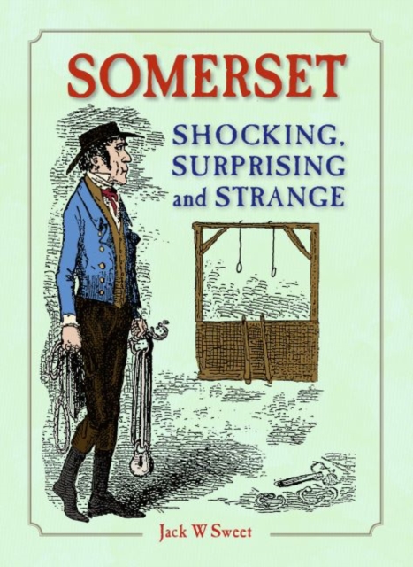 Somerset Shocking, Surprising and Strange, Hardback Book