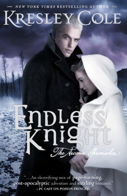 Endless Knight : The Arcana Chronicles Book 2, Paperback / softback Book