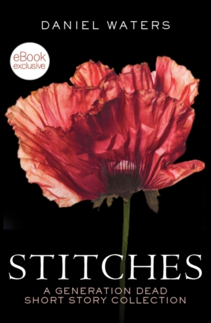 Stitches, EPUB eBook