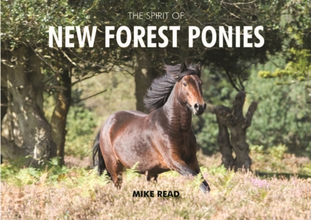 The Spirit of New Forest Ponies, Hardback Book