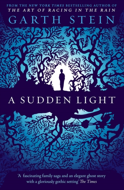 A Sudden Light, EPUB eBook