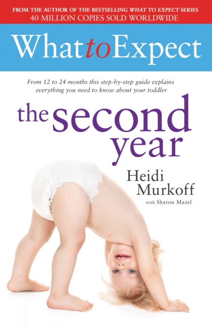 What to Expect: The Second Year, Paperback / softback Book