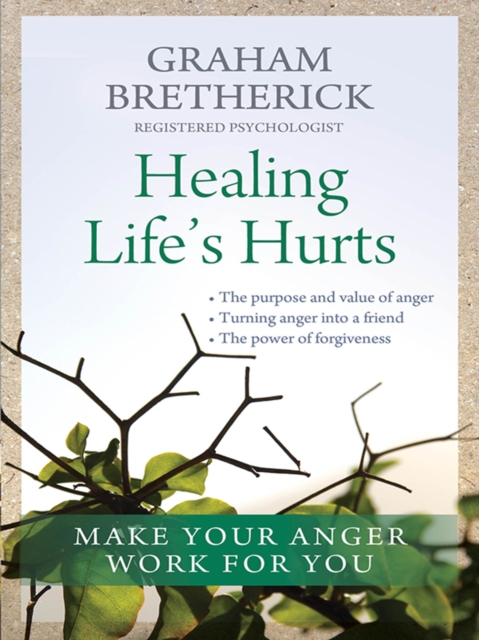 Healing Life's Hurts : Make your anger work for you, EPUB eBook