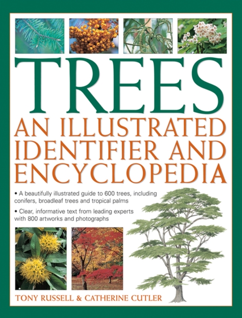 Trees: An Illustrated Identifier and Encyclopedia, Hardback Book