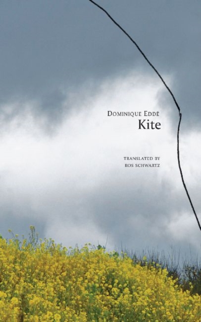 Kite, Hardback Book