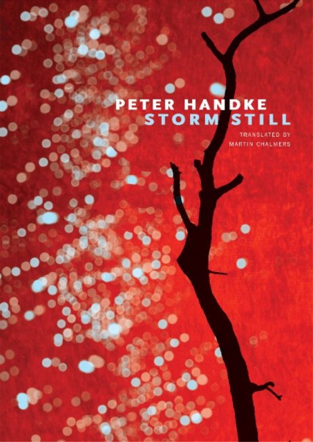 Storm Still, Hardback Book