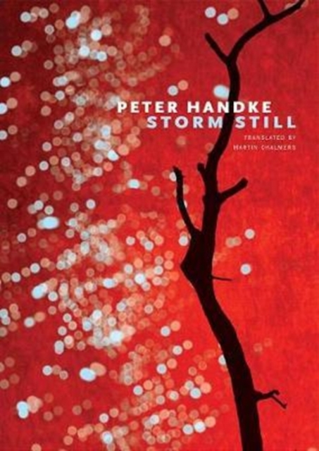 Storm Still, Paperback / softback Book
