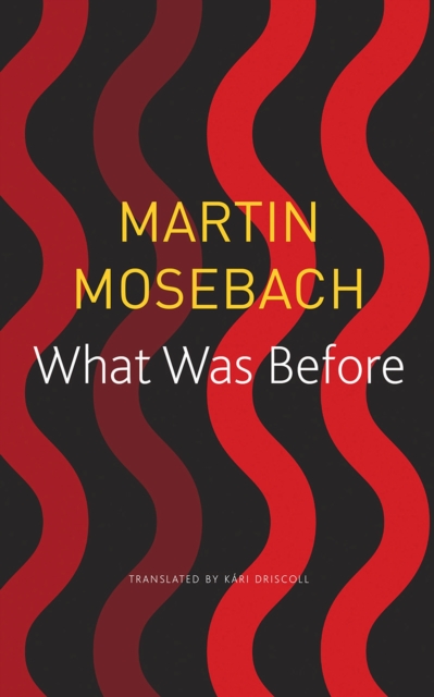 What Was Before, Paperback / softback Book