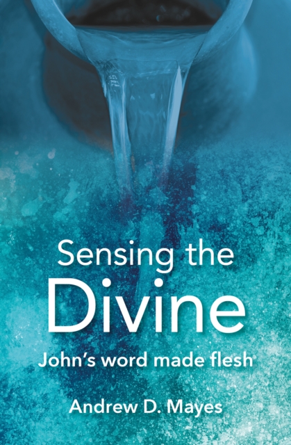Sensing the Divine : John's word made flesh, Paperback / softback Book