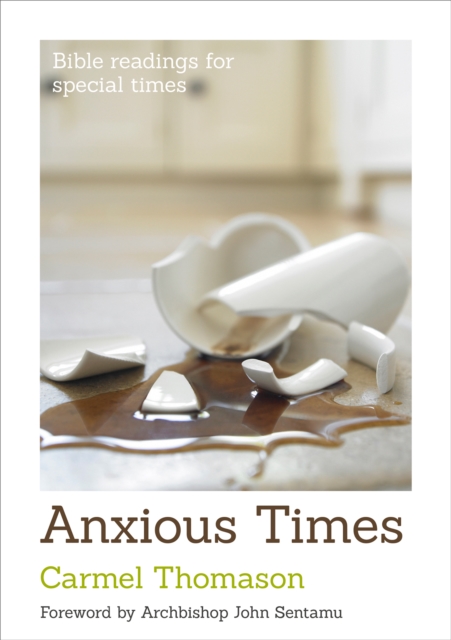 Anxious Times, Paperback / softback Book