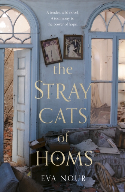 The Stray Cats of Homs : The unforgettable, heart-breaking novel inspired by extraordinary true events, Hardback Book