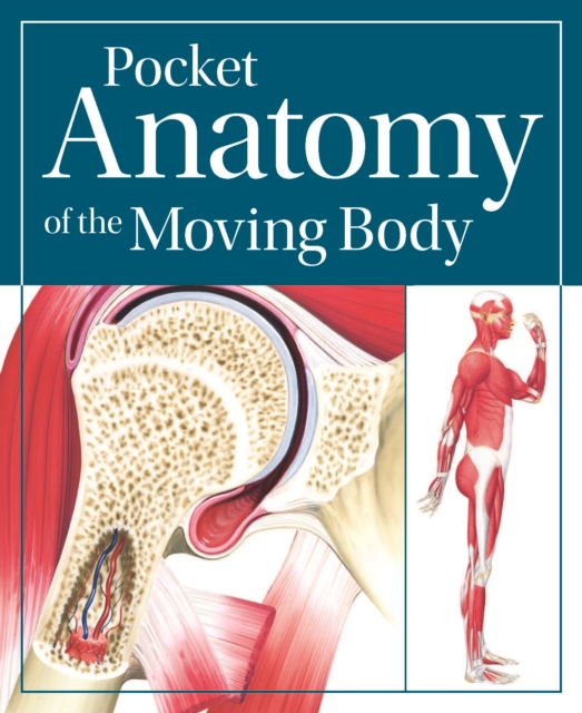 Pocket Anatomy of the Moving Body, Paperback / softback Book
