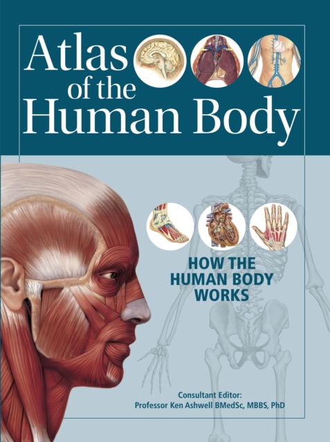 Atlas of the Human Body : How the Human Body Works, Paperback / softback Book