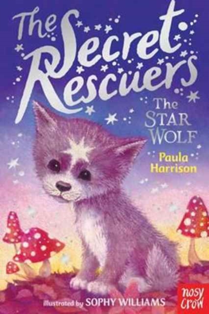The Secret Rescuers: The Star Wolf, Paperback / softback Book