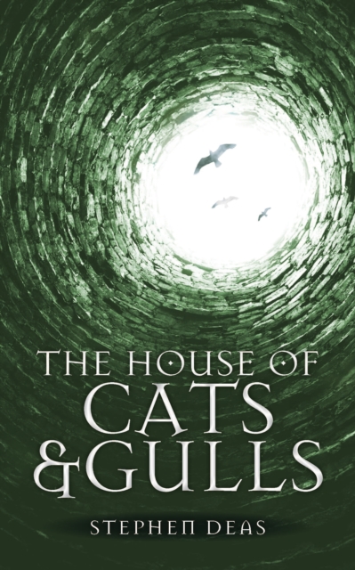 The House of Cats and Gulls : Black Moon, Book II, Paperback / softback Book