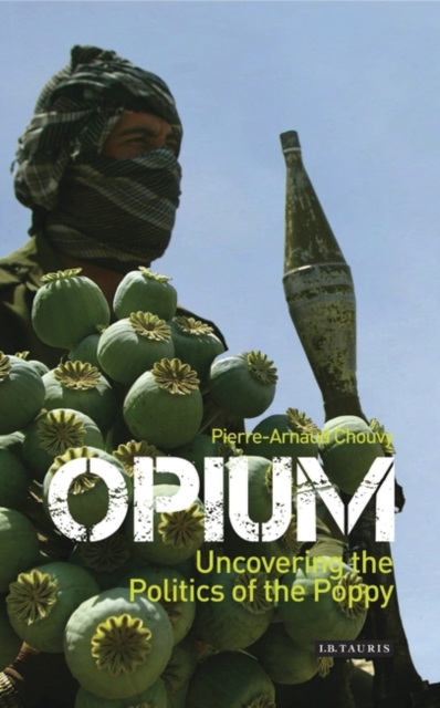 Opium : Uncovering the Politics of the Poppy, PDF eBook