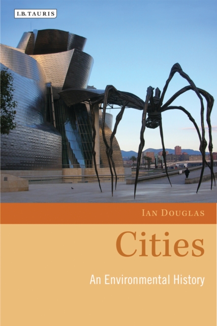 Cities : An Environmental History, PDF eBook