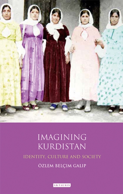 Imagining Kurdistan : Identity, Culture and Society, EPUB eBook